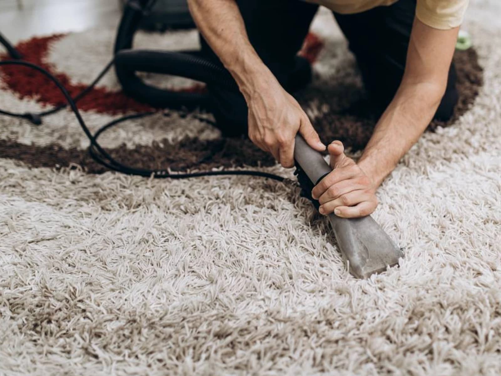 Eco-Friendly Commercial Carpet Cleaning by Trusted Experts