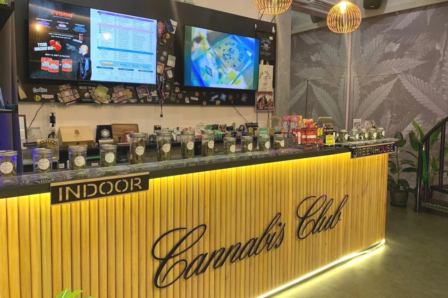 What makes Green Guyz Cannabis Club Madrid stand out
