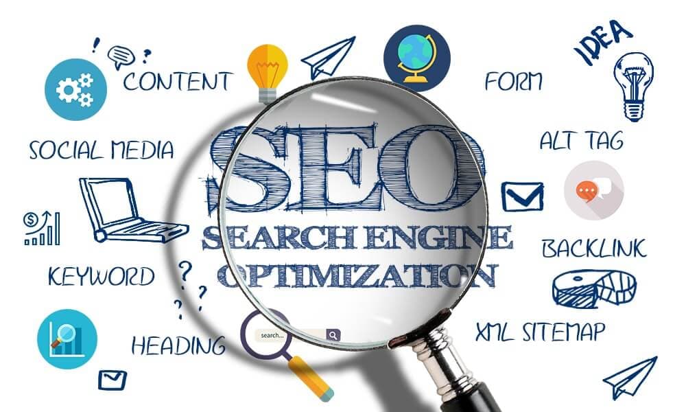 Daily SEO Rank Updates for Smarter Optimization