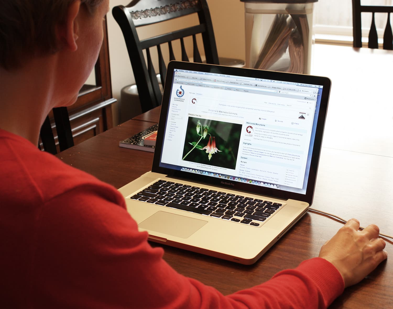 Expert WordPress Website Development to Transform Your Digital Presence