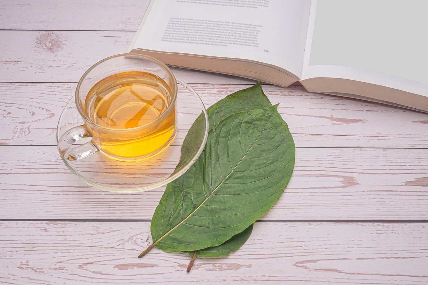 Sip the Best Kratom Tea in Chiang Mai at Local Favorites