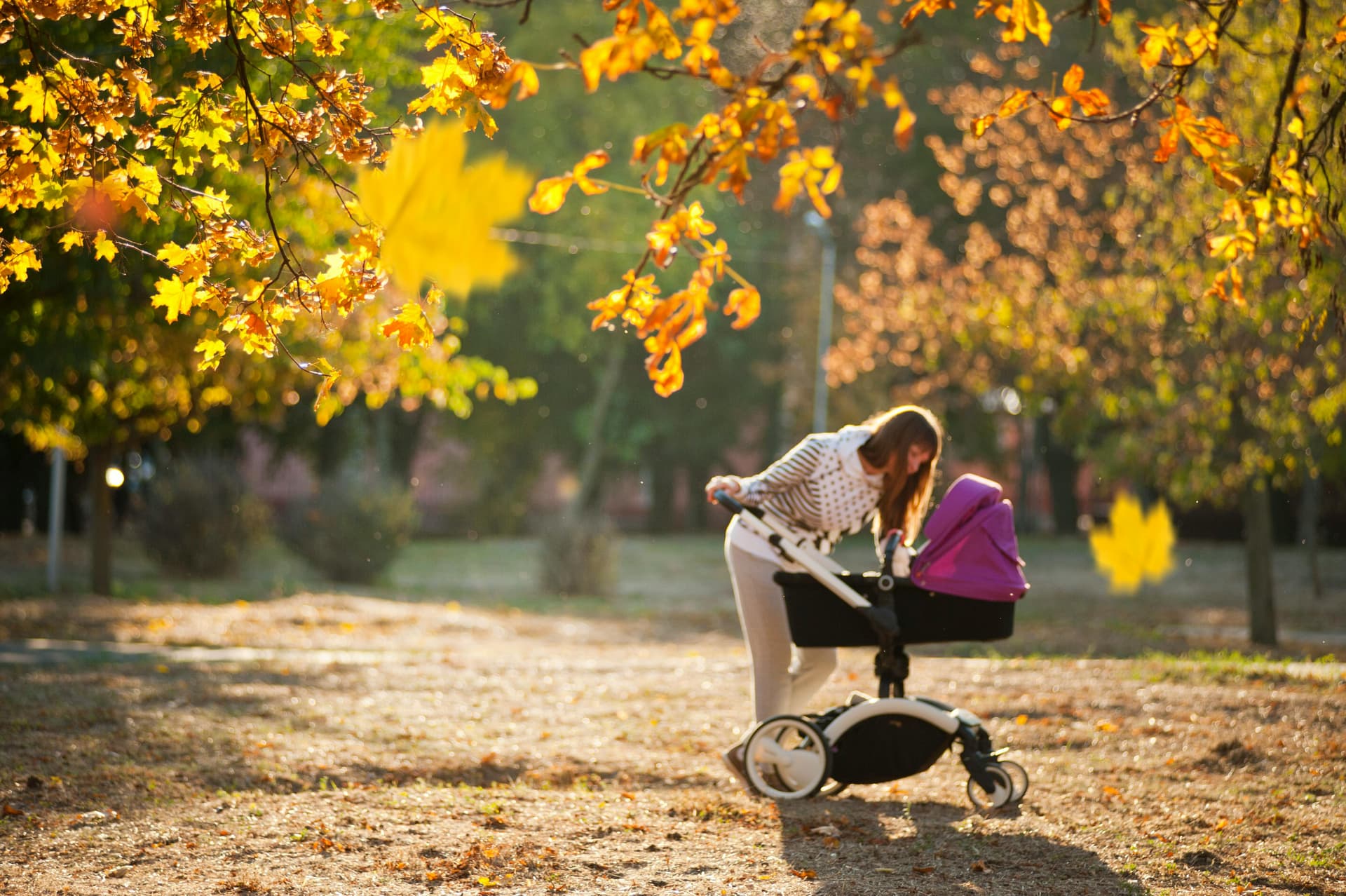 Best Daycare Centers Designed for Your Child’s Success