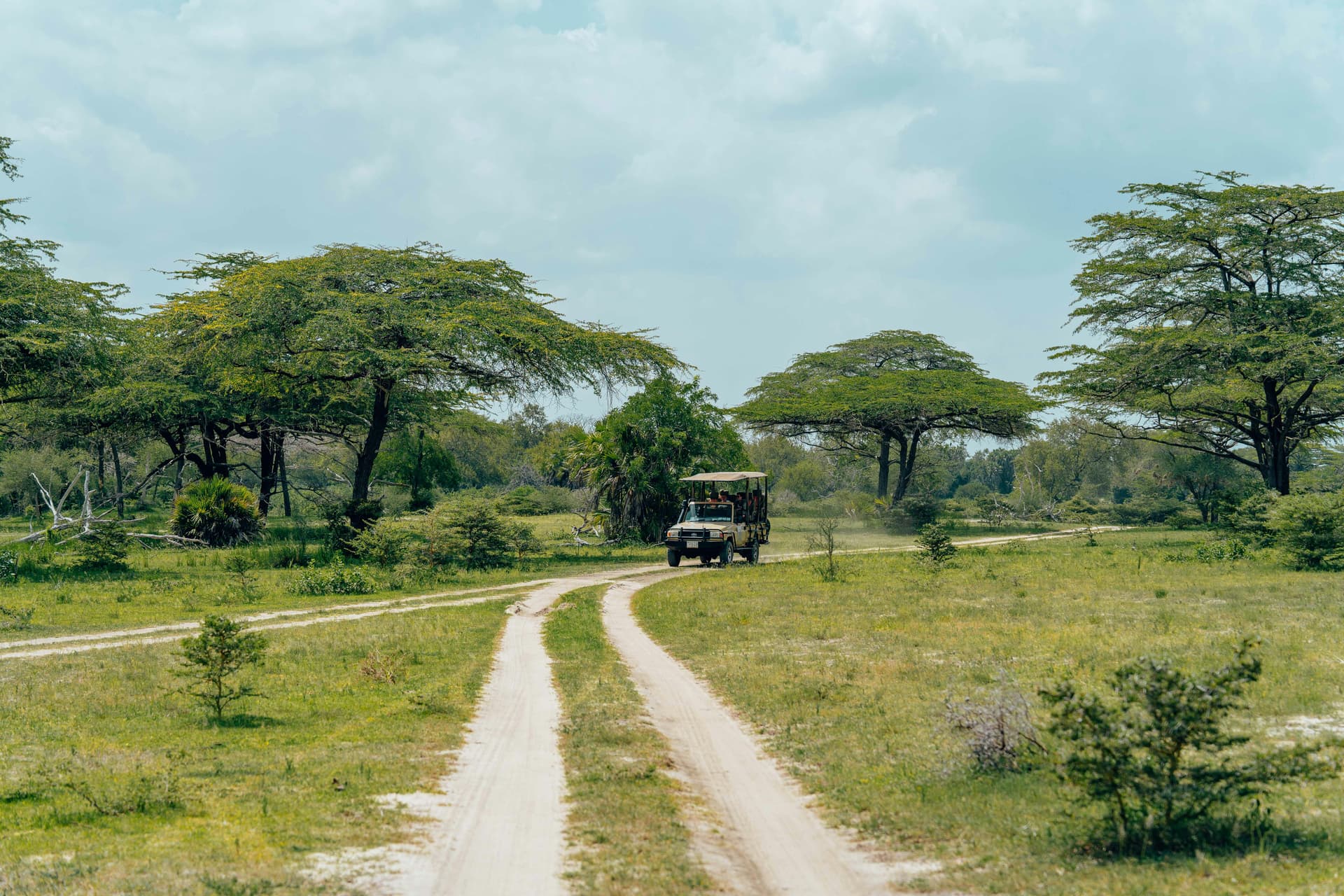Kenya Safari Packages: Adventure, Wildlife &amp; Scenic Beauty