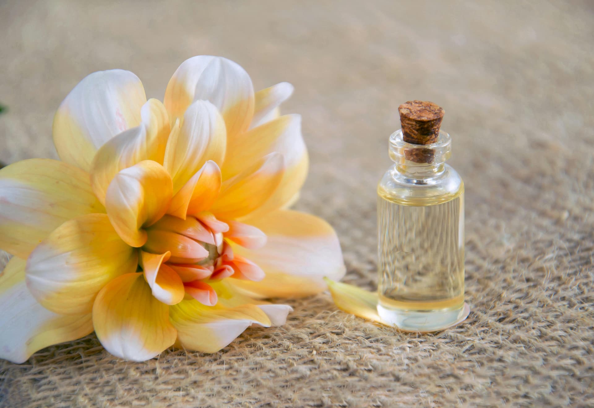 Alien Perfume Gift Guide: Who Will Love This Iconic Fragrance?