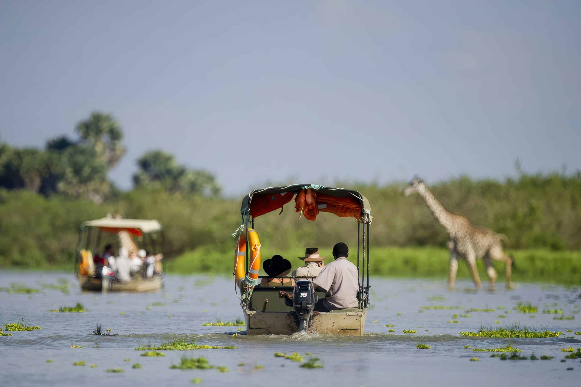 How to Choose the Best Nyerere National Park Tanzania Safari