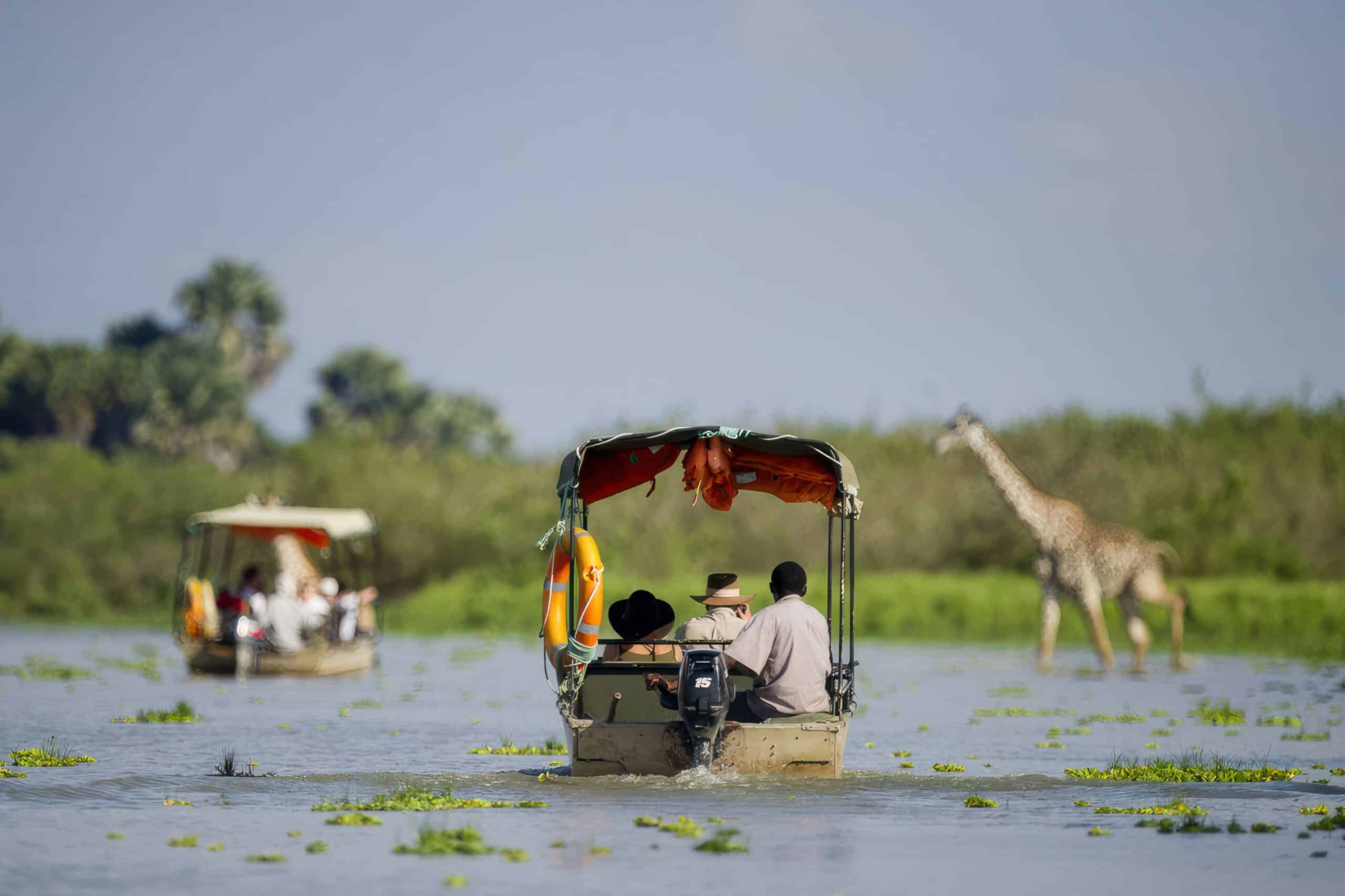 How to Choose the Best Nyerere National Park Tanzania Safari