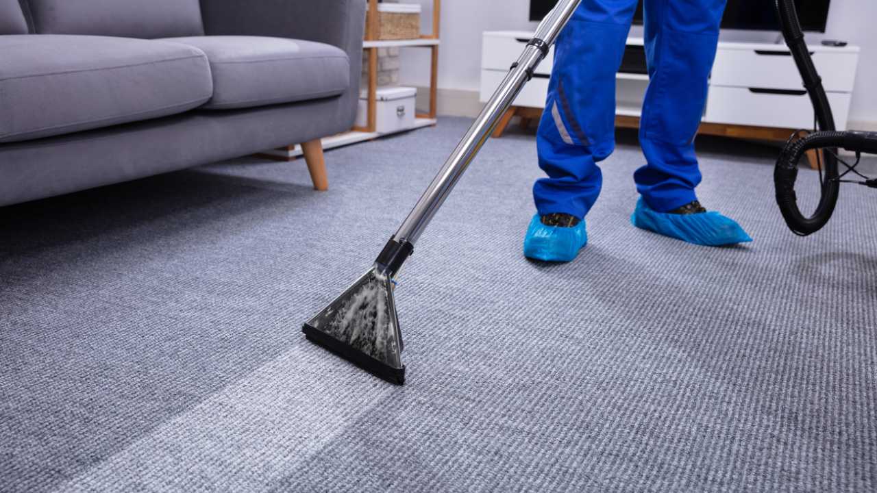 Effiziente Teppichreinigung München: Ihre Lösungen für saubere Teppiche