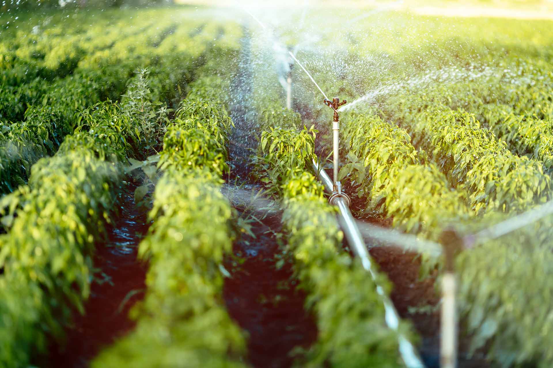 Trusted Expert Drainage Services in Springtown , TX for Property Safety
