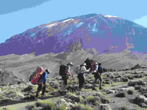 Kilimanjaro Trekking Adventures with Comfort and Care
