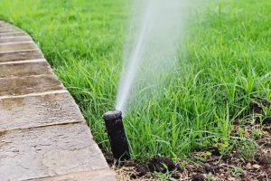 Professional Irrigation Services in Bedford, TX by Trusted Professionals